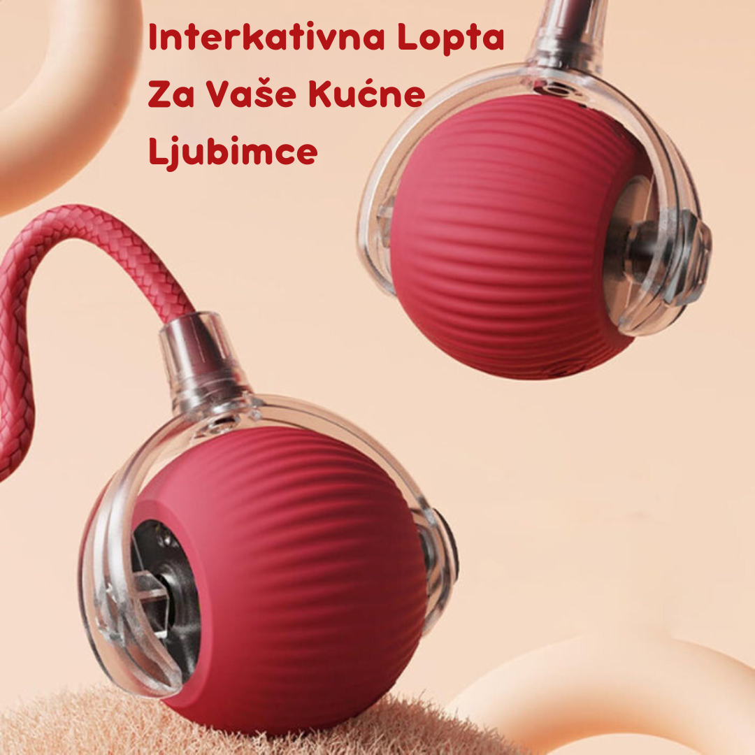 Pametna Interaktivna Loptica za Mačke