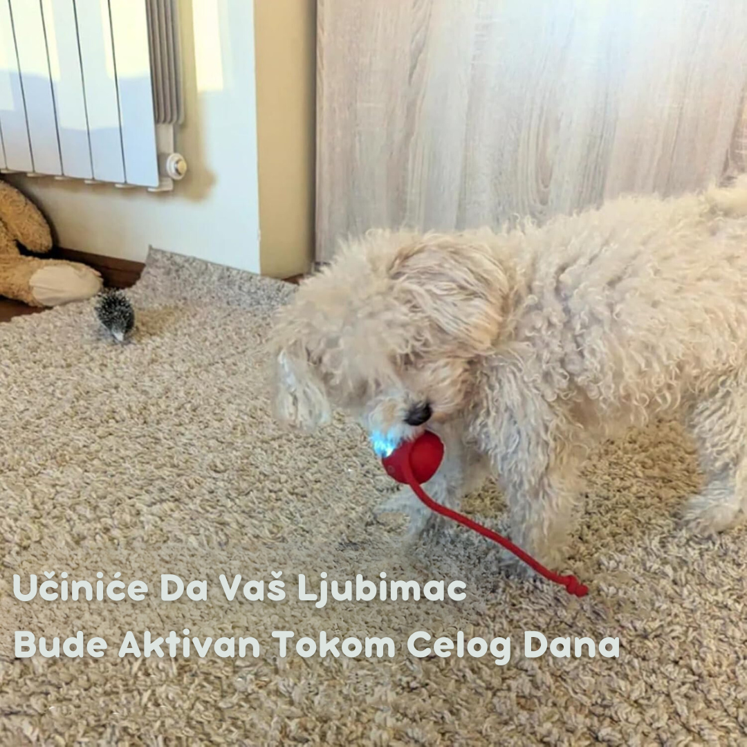 Pametna Interaktivna Loptica za Mačke