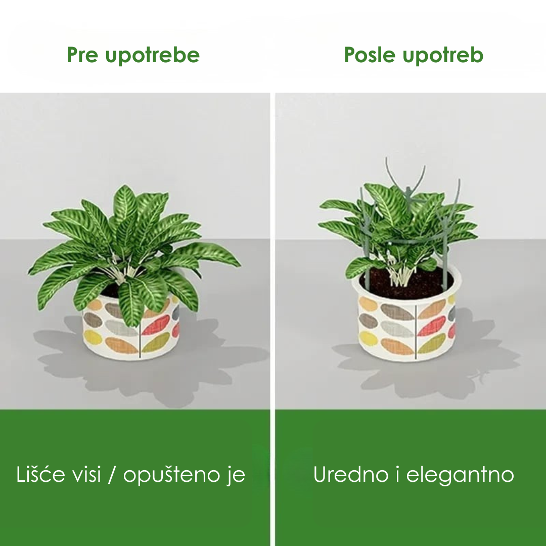 Potporni Kolčići za Biljke (Set od 5 Komada)