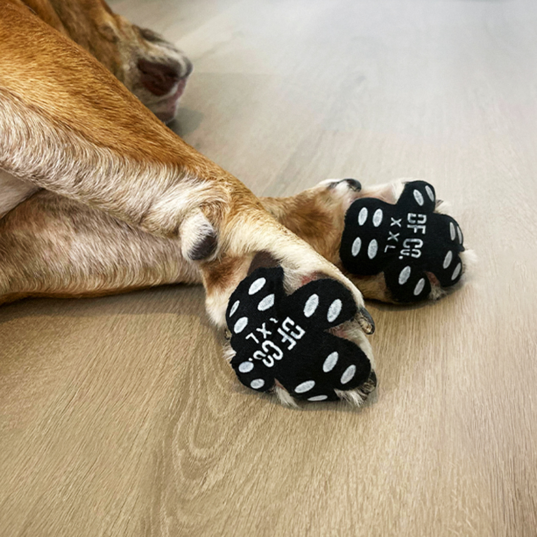 DogPawgs™ – Zaštita za pseće šape