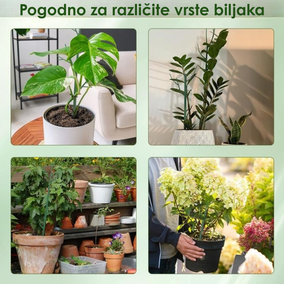 Potporni Kolčići za Biljke (Set od 5 Komada)