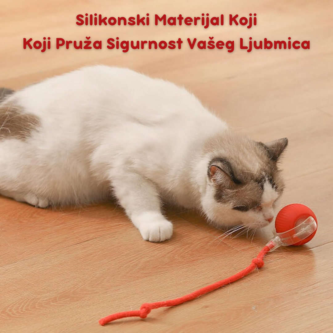 Pametna Interaktivna Loptica za Mačke